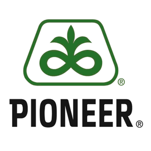 pioneer