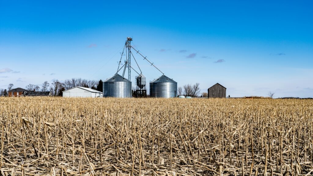 Grain storage silos and barn in a harvested field, emphasizing grain bin cleaning and maintenance for optimal storage.